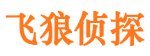 东湖市私家侦探